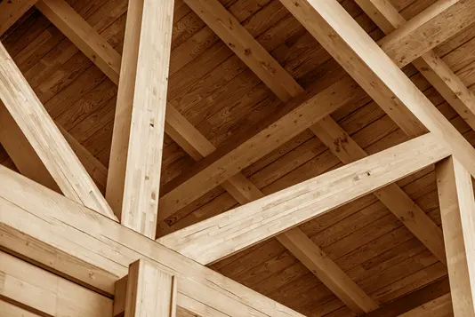 garten-einrichten-wohnen-holz-dach-holzdach-vordach Tragende Elemente